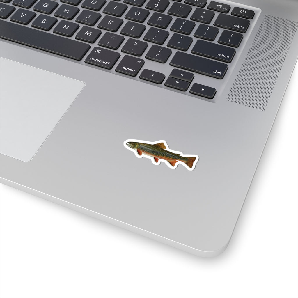 Brook Trout Sticker