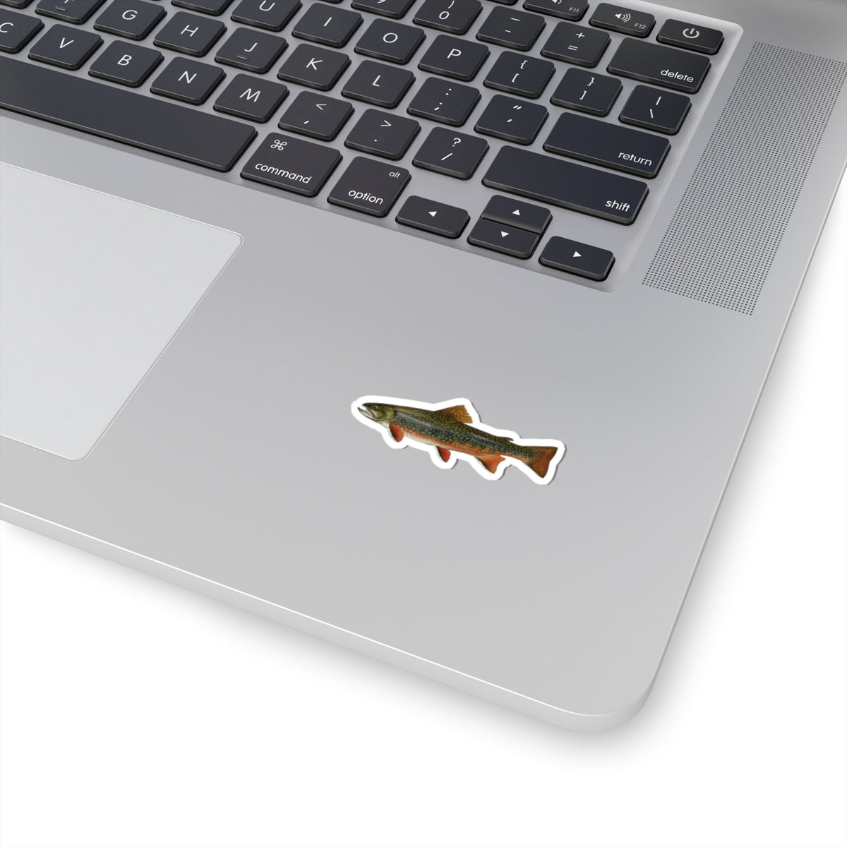 Brook Trout Sticker