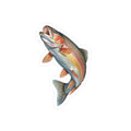 Rising Rainbow Trout Vinyl Decal