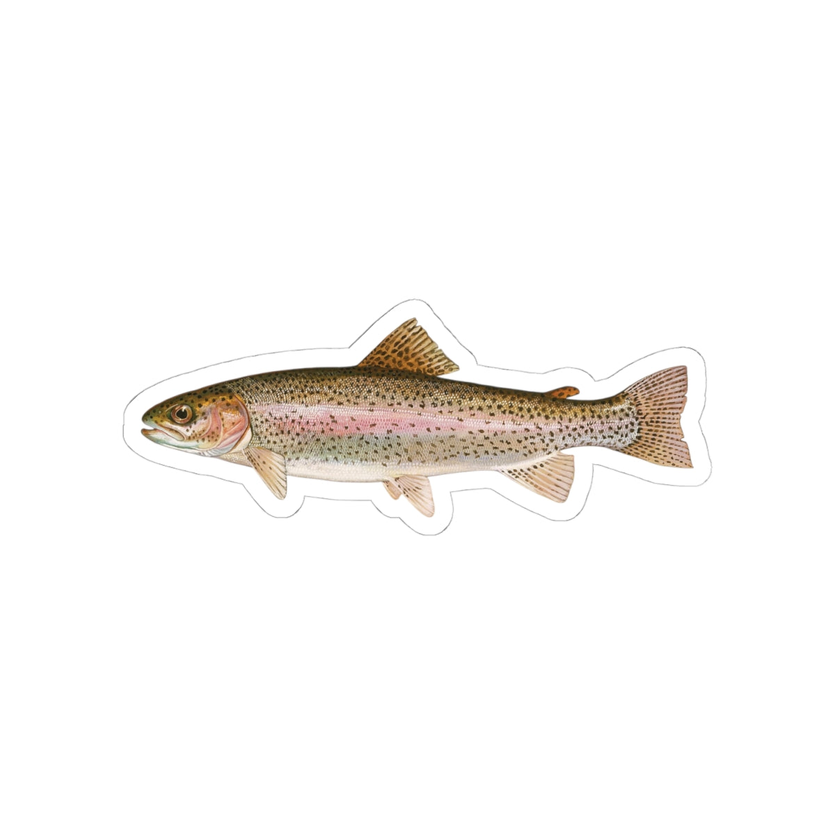 Rainbow Trout TGT Sticker