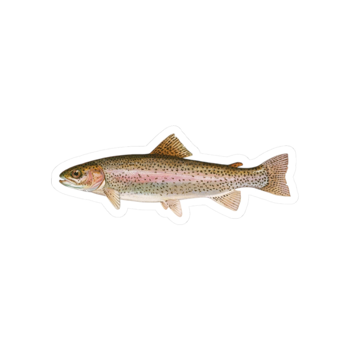 Rainbow Trout TGT Sticker