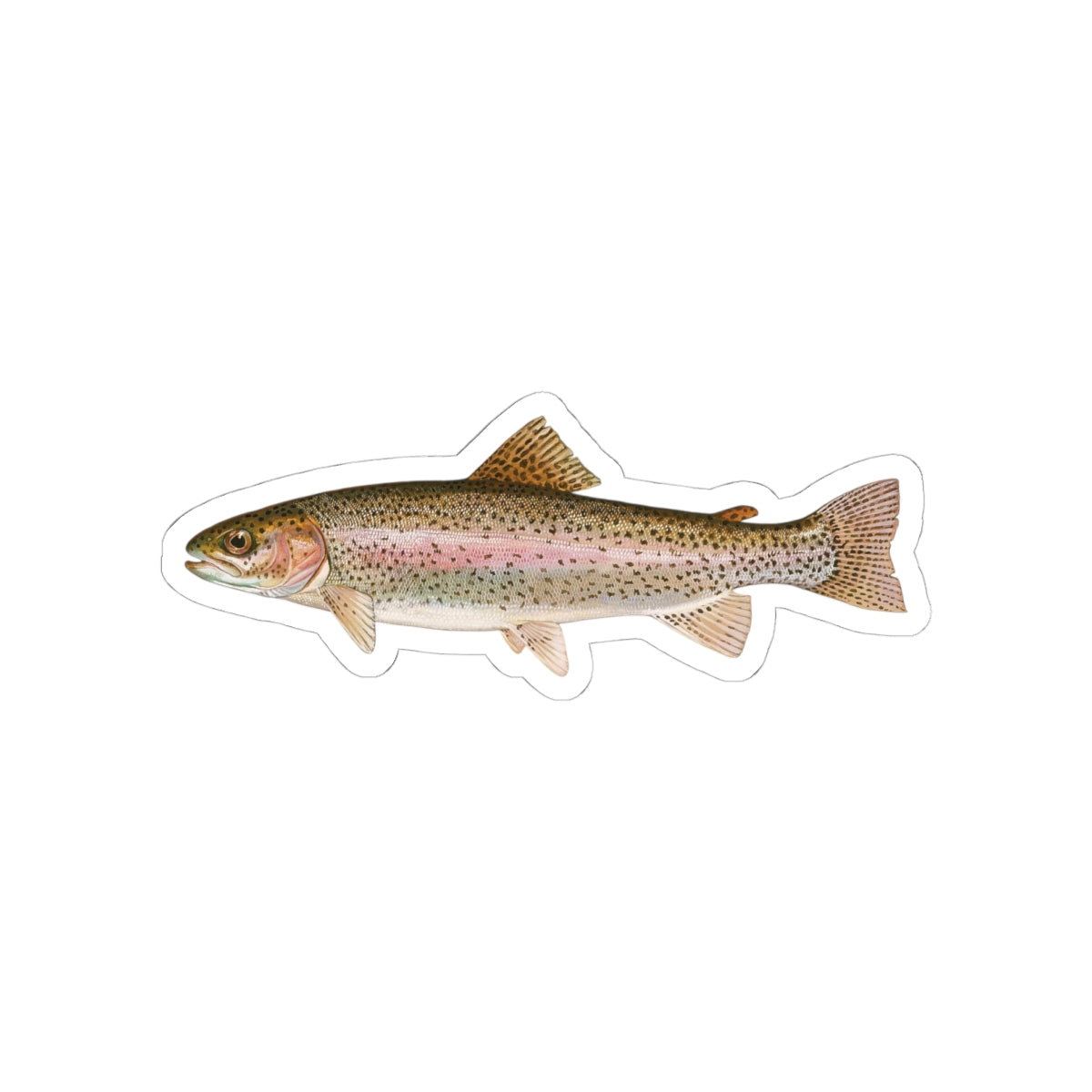 Rainbow Trout TGT Sticker