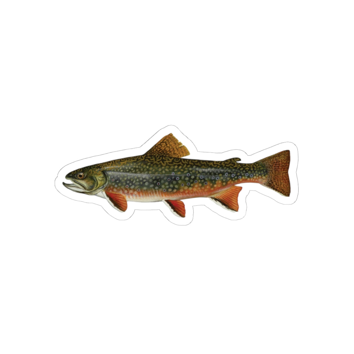 Brook Trout Sticker