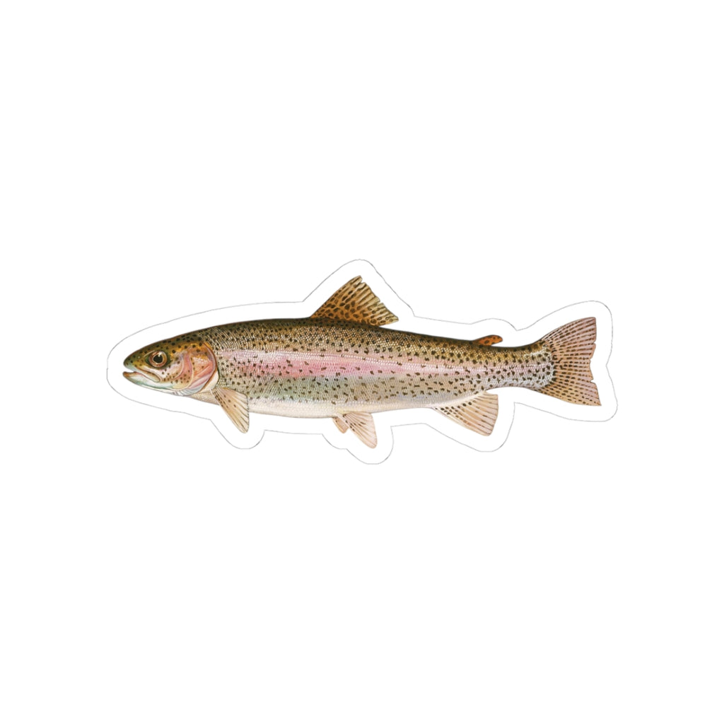 Rainbow Trout TGT Sticker