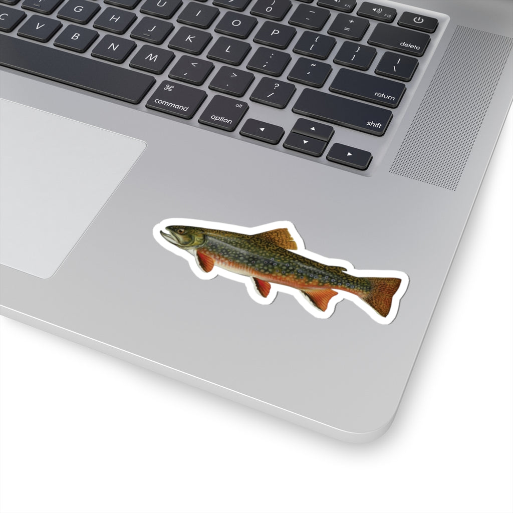 Brook Trout Sticker
