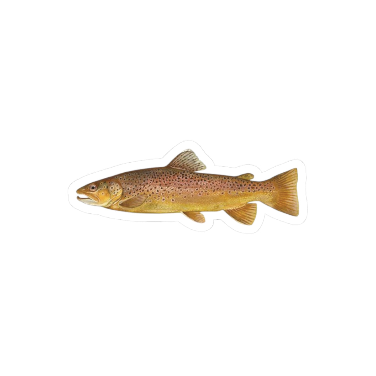 Brown Trout TGT Sticker